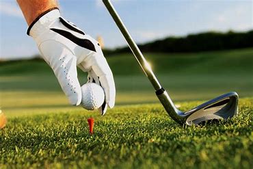Golf Player